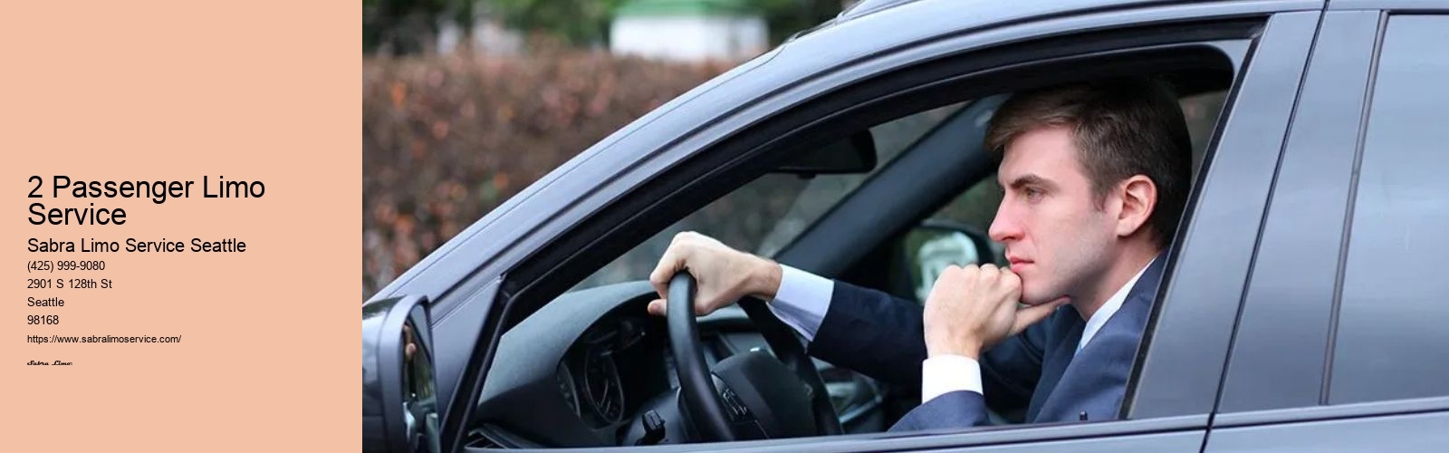 2 Passenger Limo Service